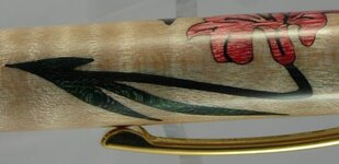 Hummingbird close 3.jpg