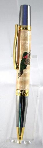 Hummingbird EB 1.jpg