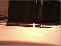 cocobolo.jpg