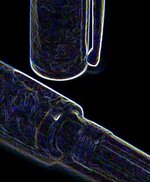 PITH 2010 017 - Copy.JPG