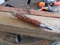 redwood 3.jpg