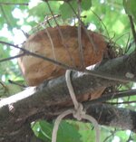 IMG_1089.jpg