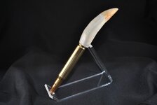 R589w.jpg