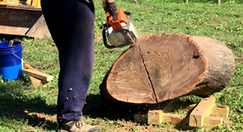 Black Walnut cut 1e.png