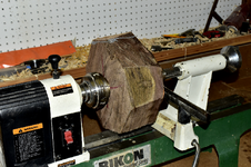 Walnut 1a.png