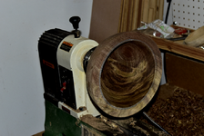 Walnut 1d.png