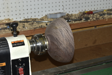 Walnut 1e.png