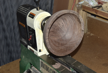 Walnut 1f.png