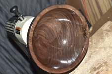 Walnut 1h.png