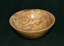Ambrosia Maple 1c.png