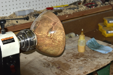 Ambrosia Maple 1.png