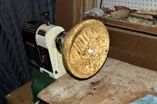 Spalted Maple 1dd.png