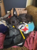 20211021_181539.jpg