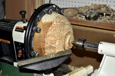 Spalted Maple 2aa.png
