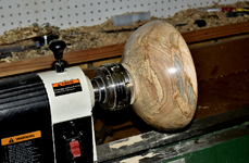 Spalted Maple 2bb.png