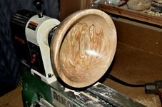 Spalted Maple 2cc.png