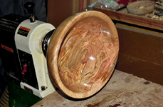 Spalted Maple 2ee.png