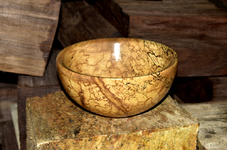 Spalted Maple 3aa.png