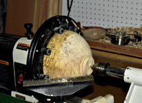 Spalted Maple 3bb.png