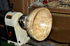 Spalted Maple 3dd.png