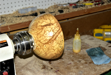 Spalted Maple 3ee.png