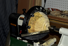 Spalted Maple 4bb.png