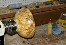 Spalted Maple 4cc.png