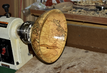 Spalted Maple 4dd.png