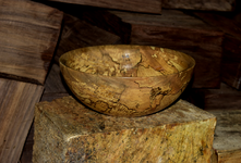 Spalted Maple 5dd.png