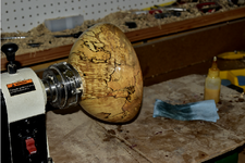 Spalted Maple 5bb.png