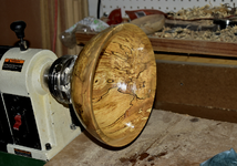 Spalted Maple 5cc.png