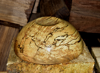 Spalted Maple 5ee.png