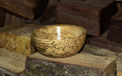 Spalted Maple 7gg.png