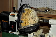 Spalted Maple 7aa.png
