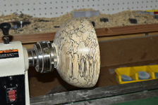 Spalted Maple 7bb.png