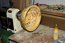 Spalted Maple 7ee.png