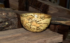 Spalted Maple 8dd.png
