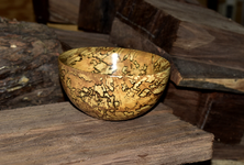 Spalted Maple 8ee.png