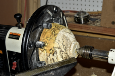 Spalted Maple 8aa.png