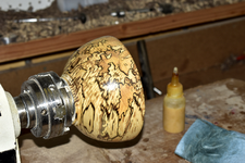Spalted Maple 8bb.png
