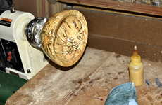 Spalted Maple 8cc.png