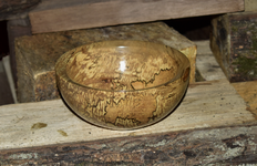 Spalted Maple 9cc.png