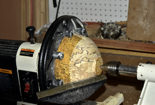 Spalted Maple 9ee.png