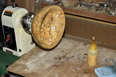 Spalted Maple 9bb.png