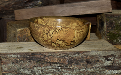 Spalted Maple 9aa.png