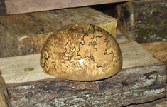 Spalted Maple 9dd.png