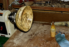 Spalted Maple Bowl 1eee.png