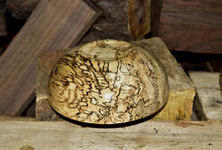 Spalted Maple Bowl 2ggg.png