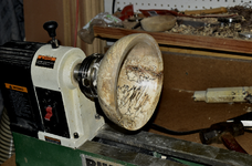 Spalted Maple Bowl 2bbb.png