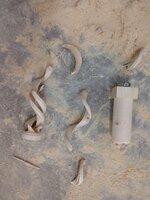 IMG_20220102_195822551.jpg